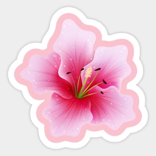 Lily In Pink Sticker